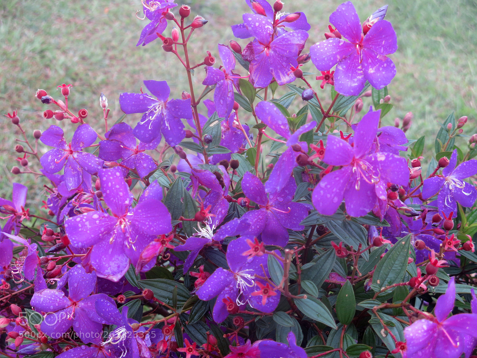 Canon PowerShot G15 sample photo. Img photography