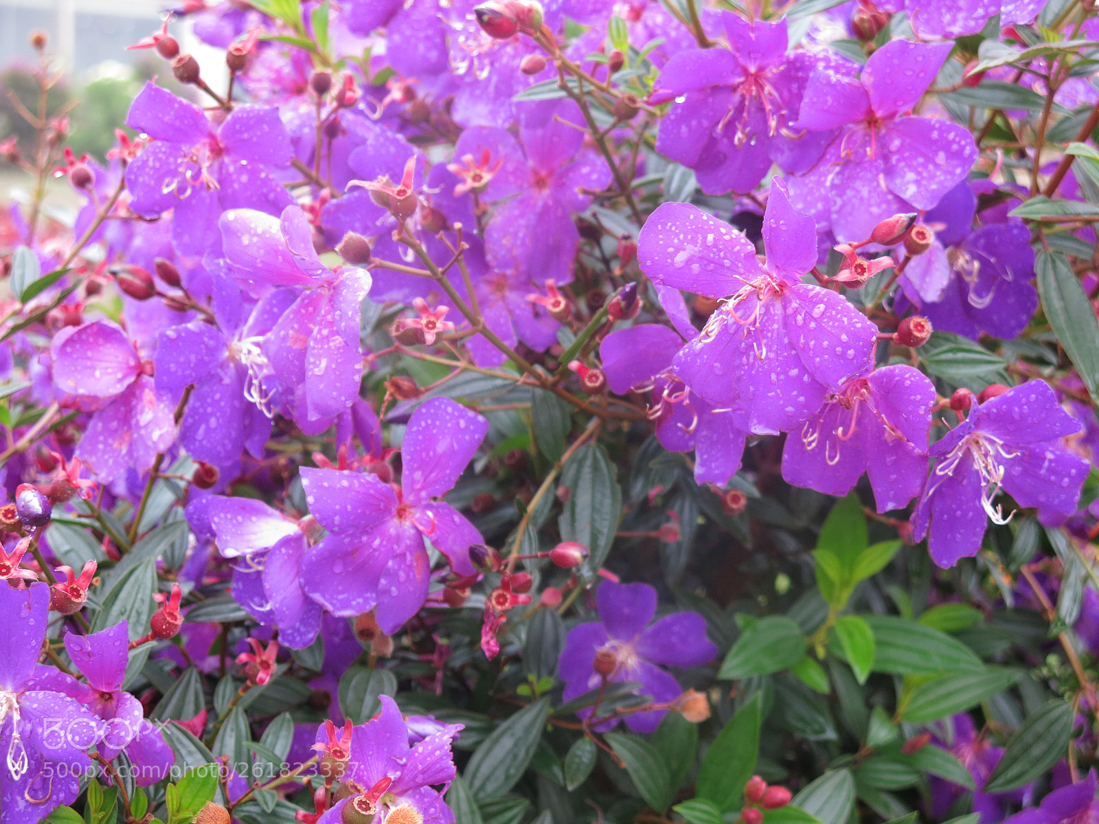Canon PowerShot G15 sample photo. Img photography