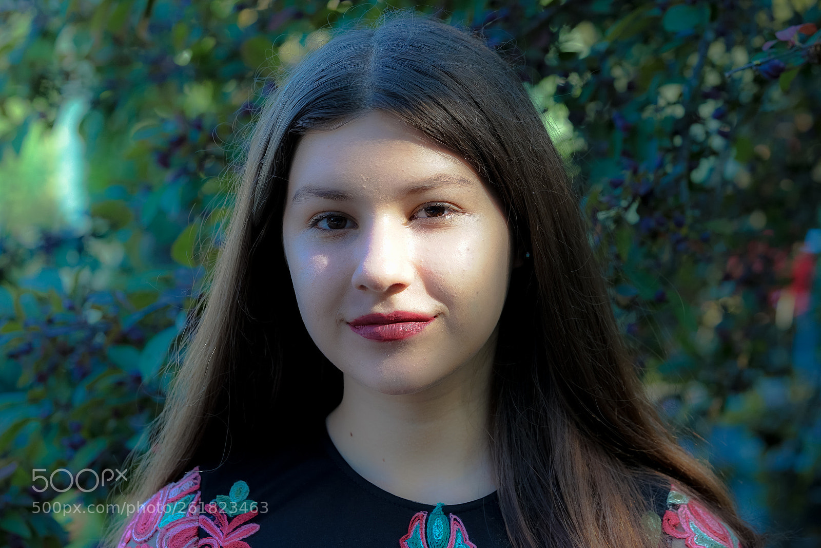 Sony a7 II sample photo. Dsc photography