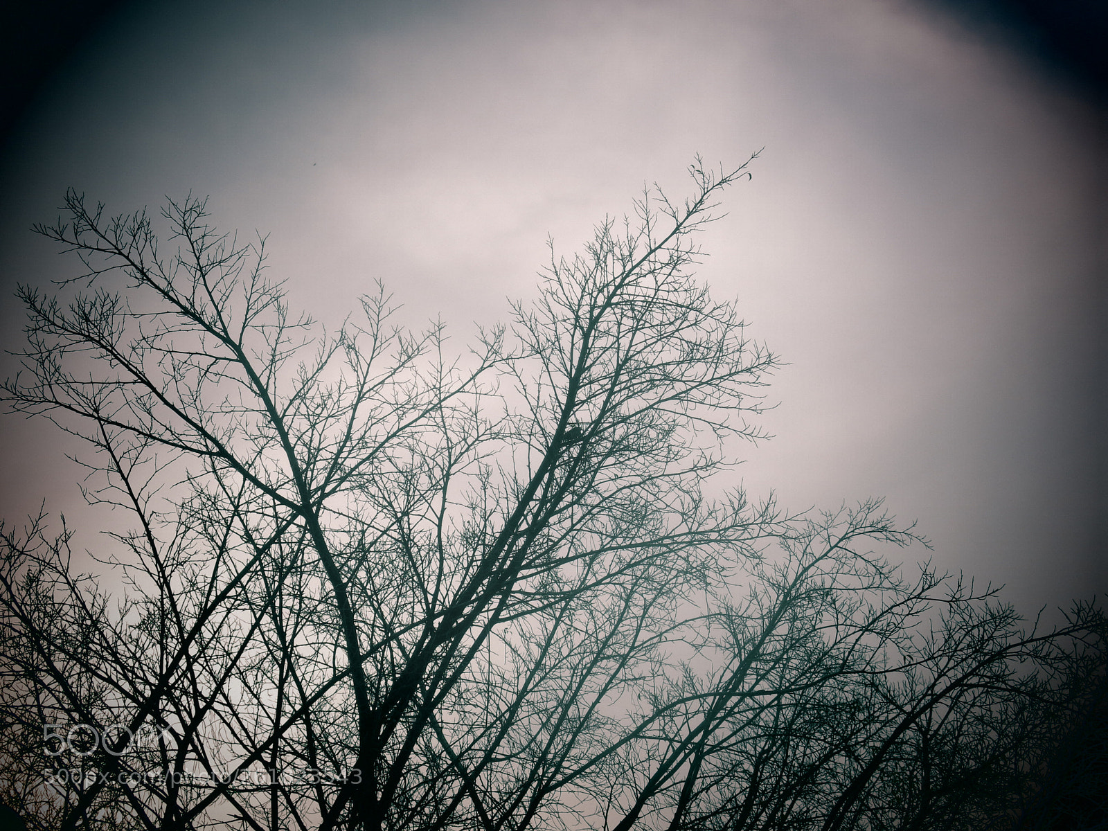 Canon PowerShot G15 sample photo. Img photography