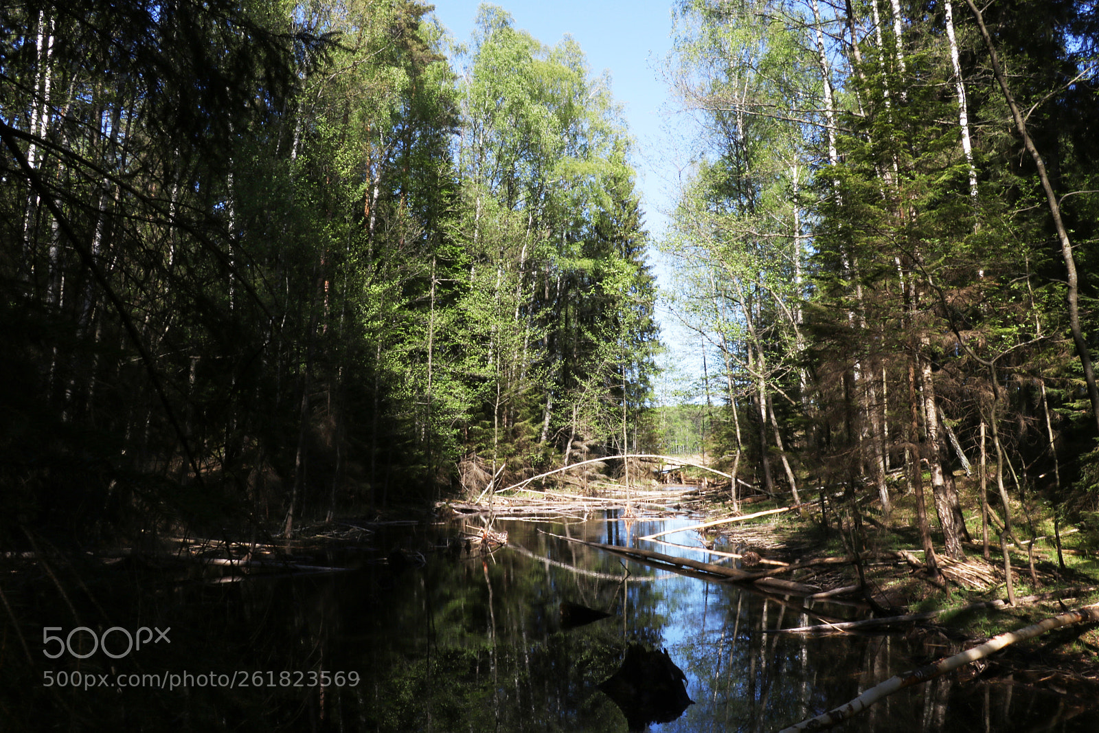 Canon EOS 750D (EOS Rebel T6i / EOS Kiss X8i) sample photo. A small lake in photography