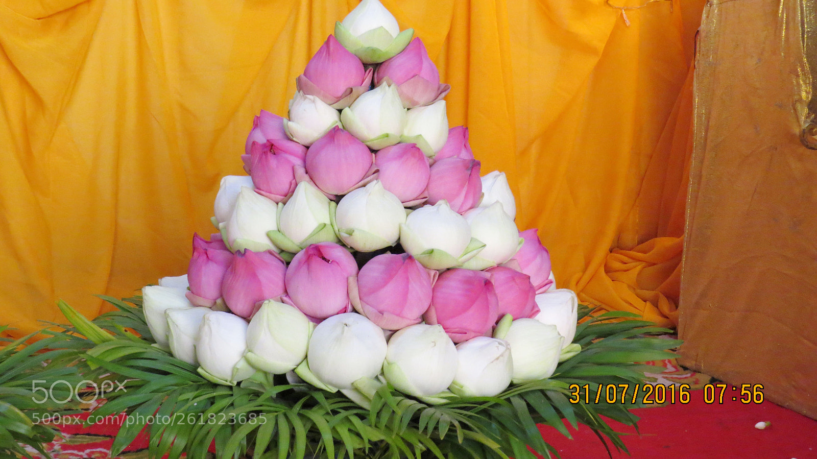 Canon PowerShot SX50 HS sample photo. Img photography