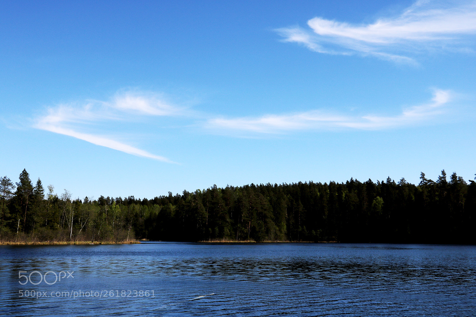 Canon EOS 750D (EOS Rebel T6i / EOS Kiss X8i) sample photo. View of the lake photography