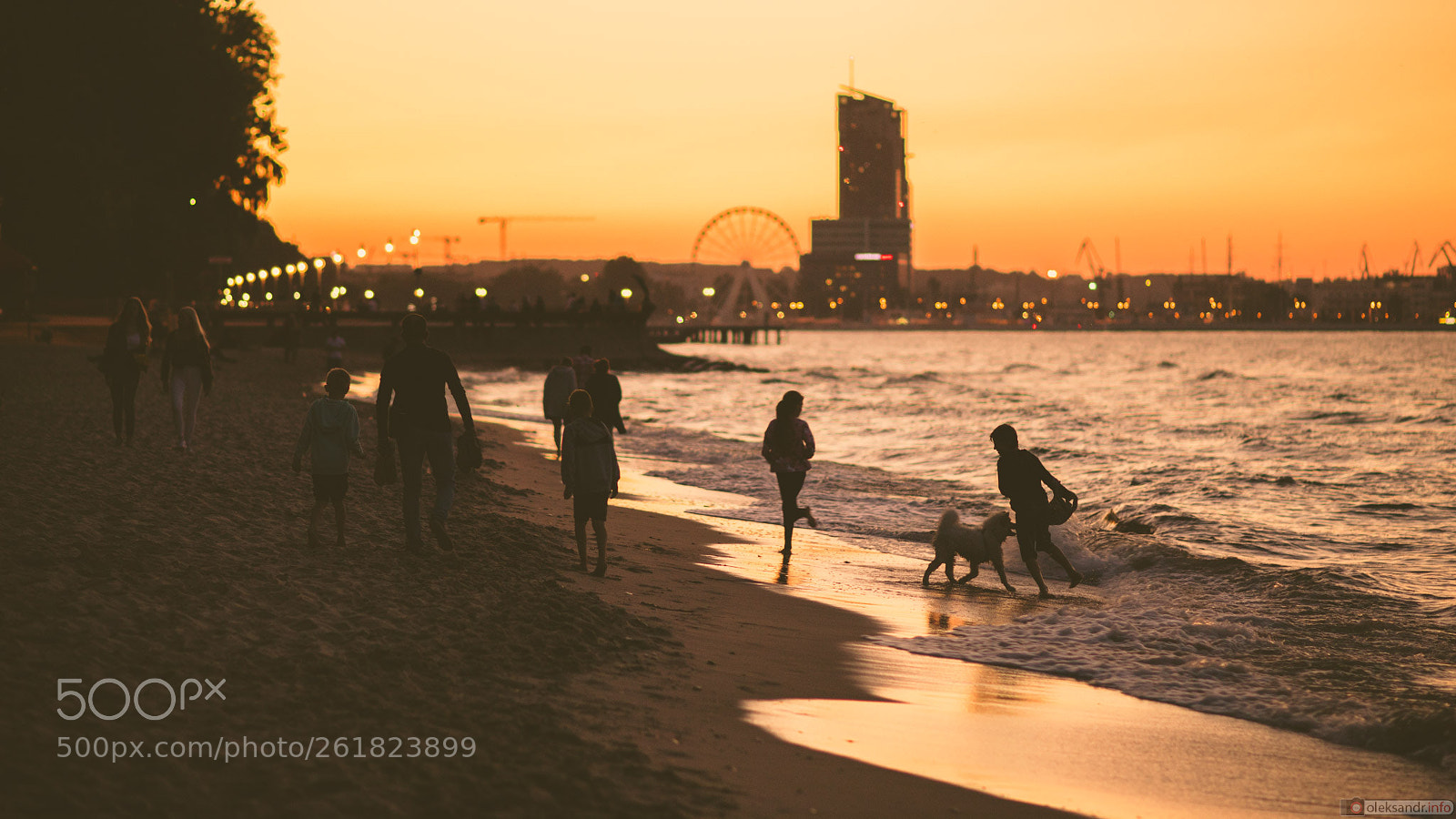Canon EOS 5D Mark IV sample photo. Sunset in gdynia. photography