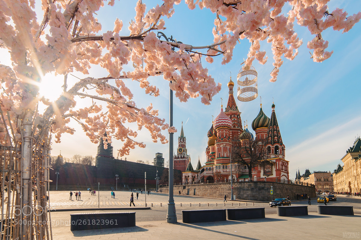 Nikon D600 sample photo. Spring time in moscow.jpg photography