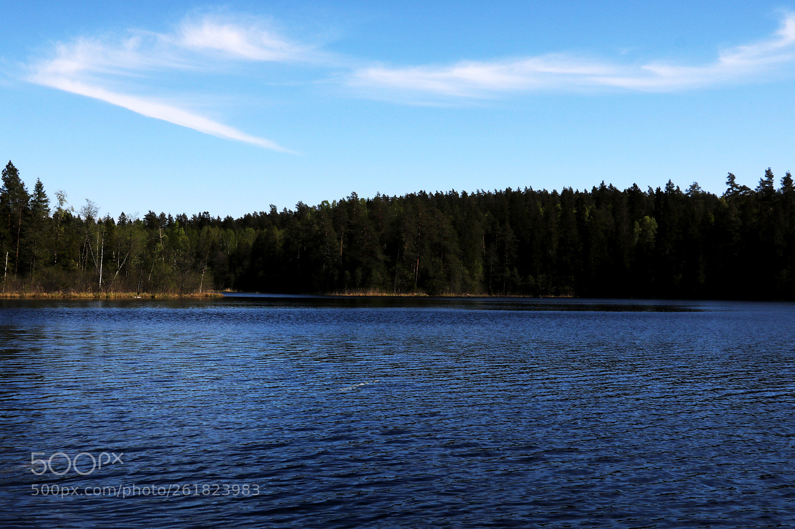 Canon EOS 750D (EOS Rebel T6i / EOS Kiss X8i) sample photo. View of the lake photography