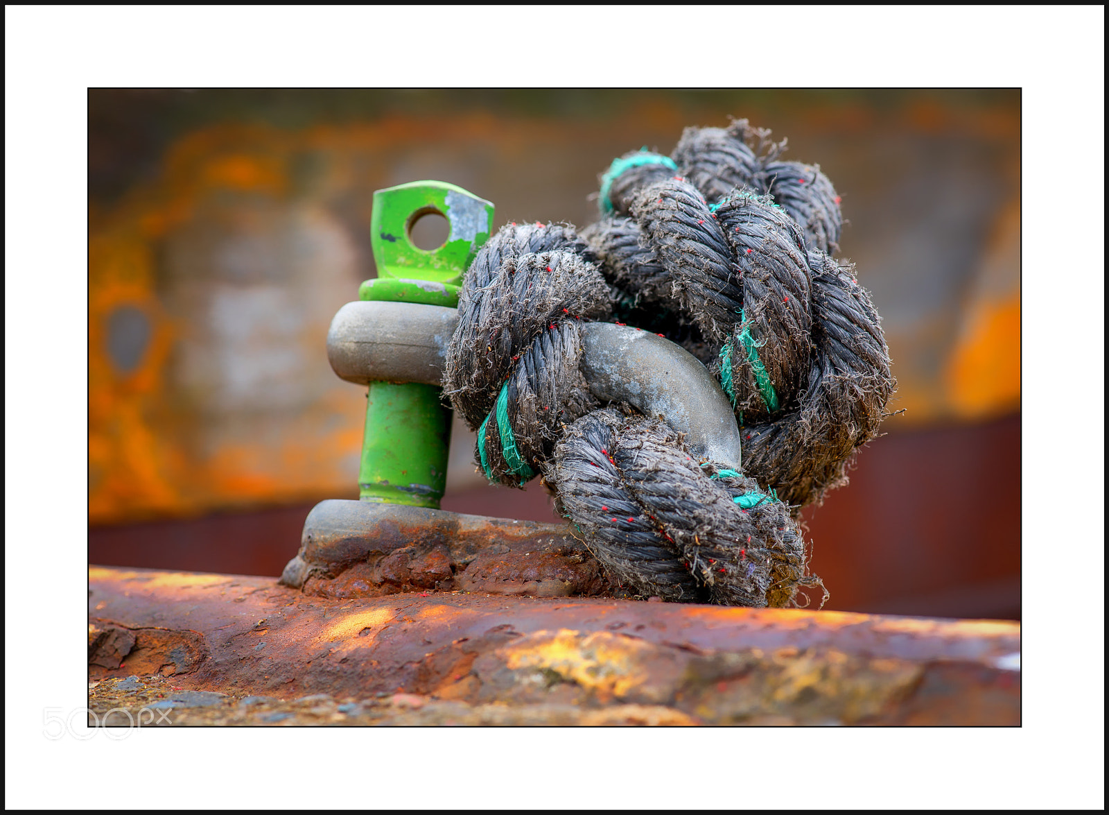 Nikon D750 sample photo. Different perspective photography