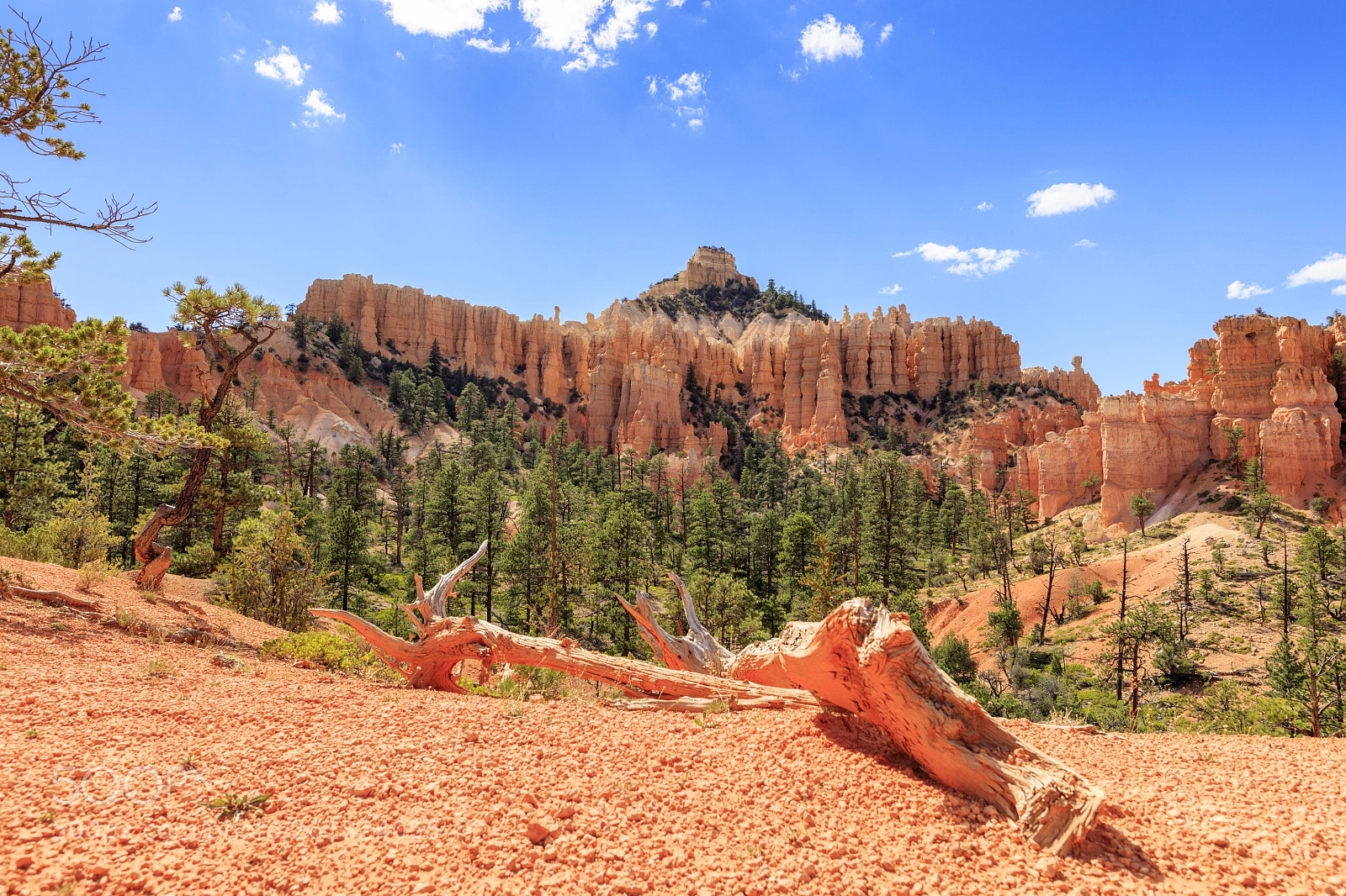 Canon EOS 5DS sample photo. Bryce canyon photography