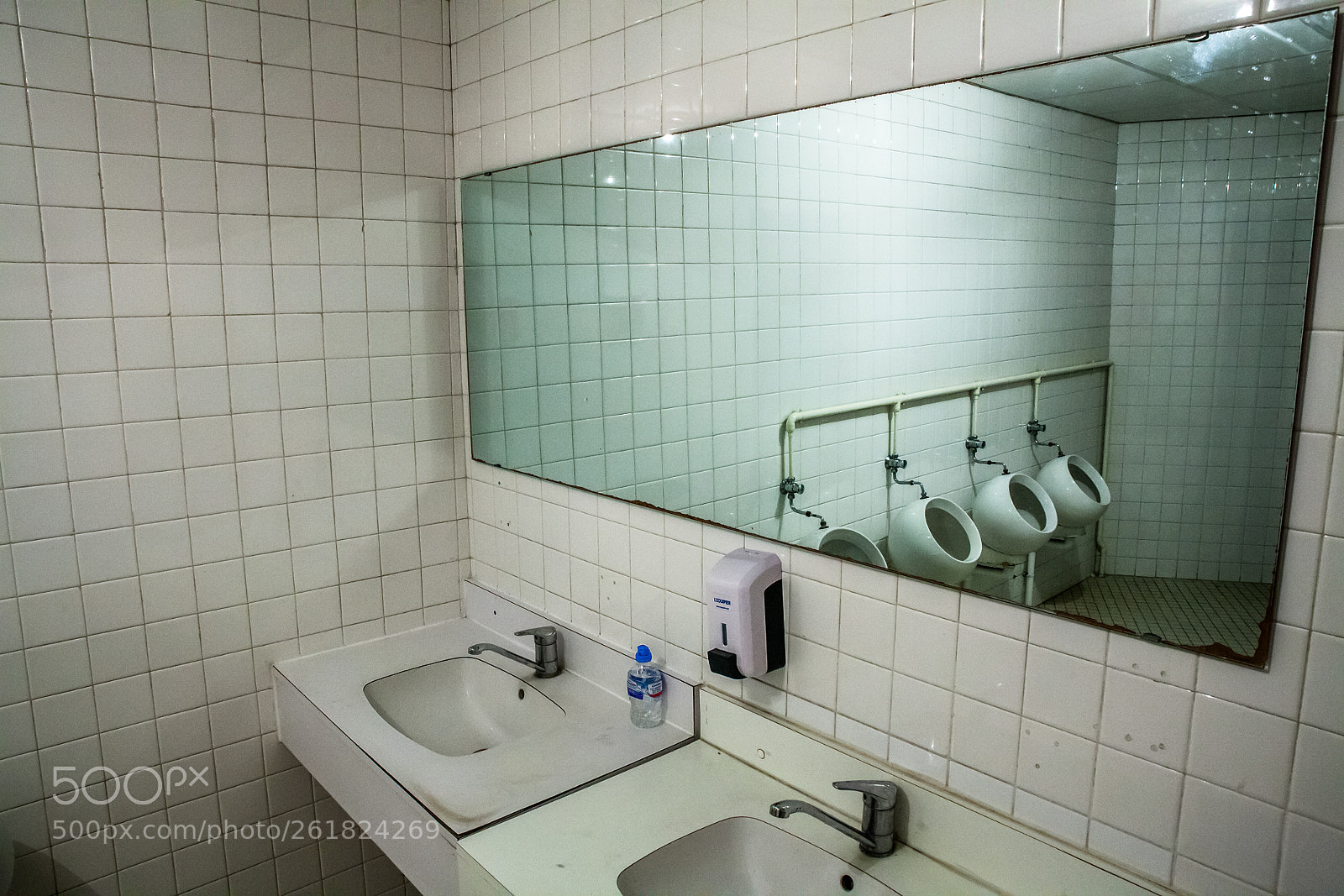 Canon EOS 5D Mark II sample photo. "photo de chiotte 2" photography
