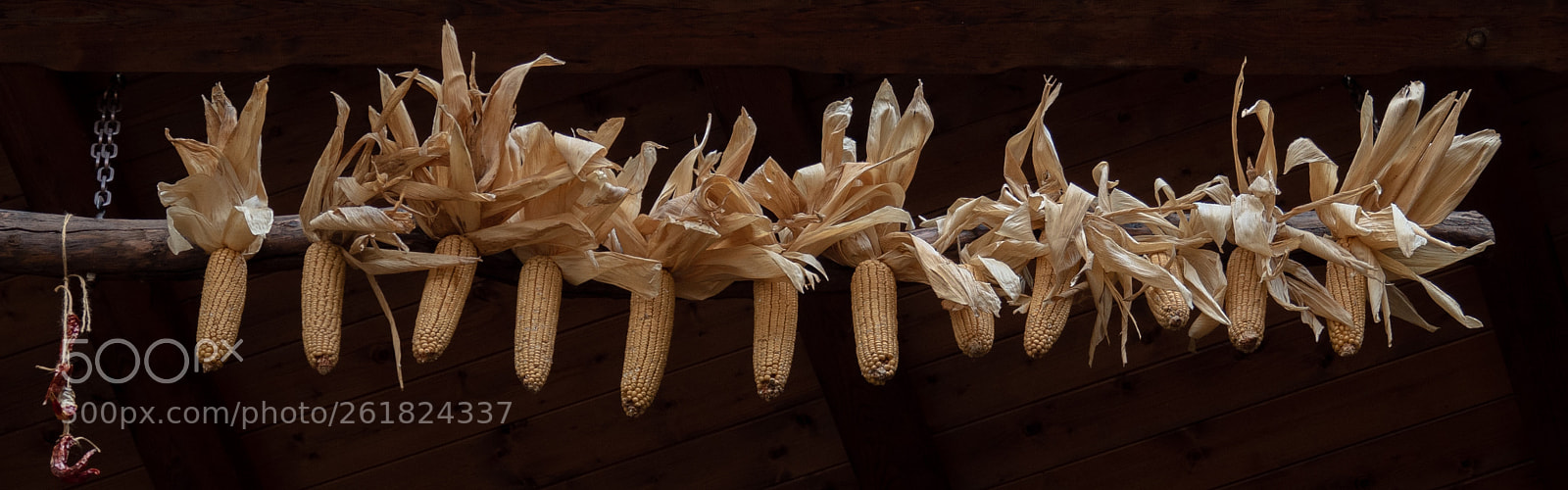 Olympus OM-D E-M5 II sample photo. Corn & chili photography