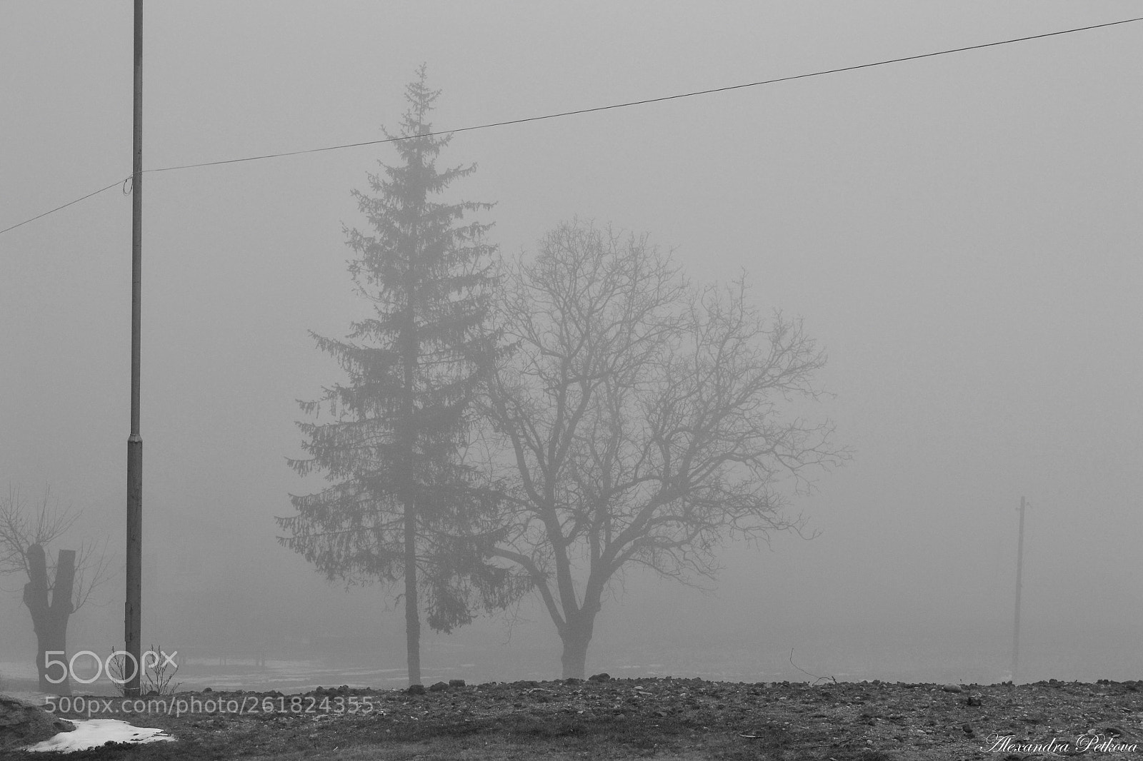 Nikon D3100 sample photo. Foggy landscape photography