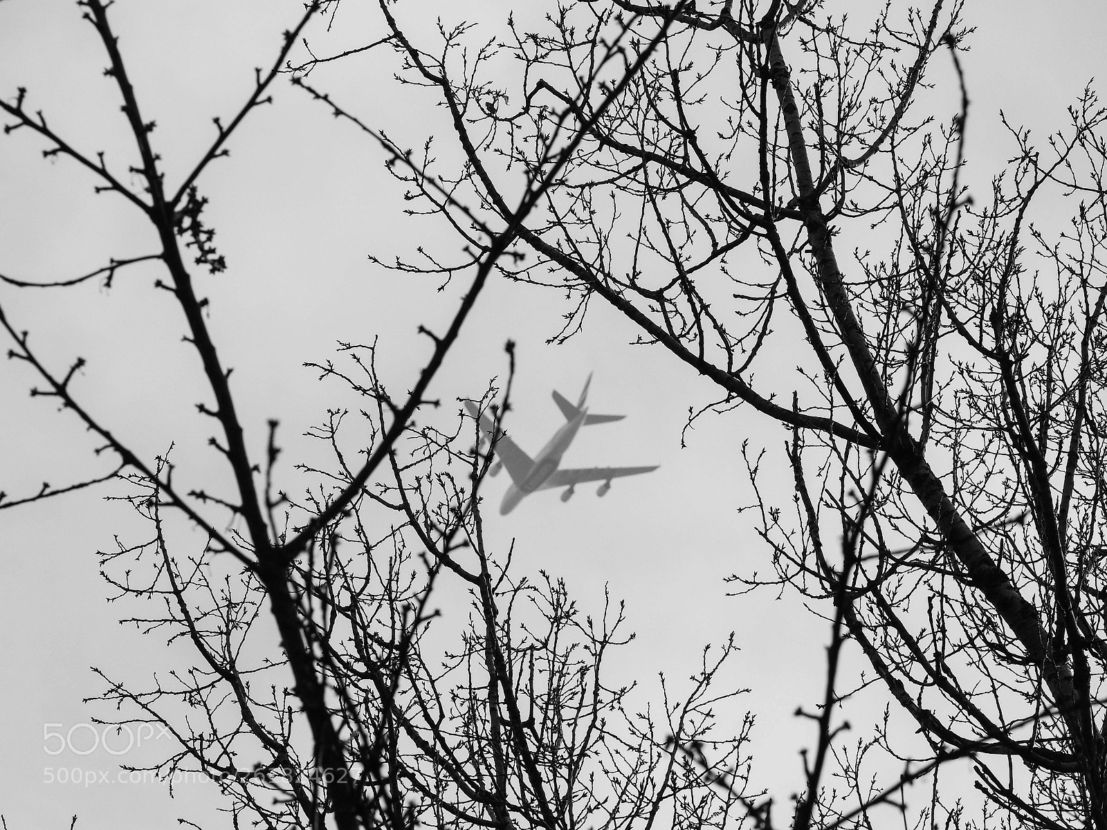 Olympus PEN-F sample photo. Fly away photography