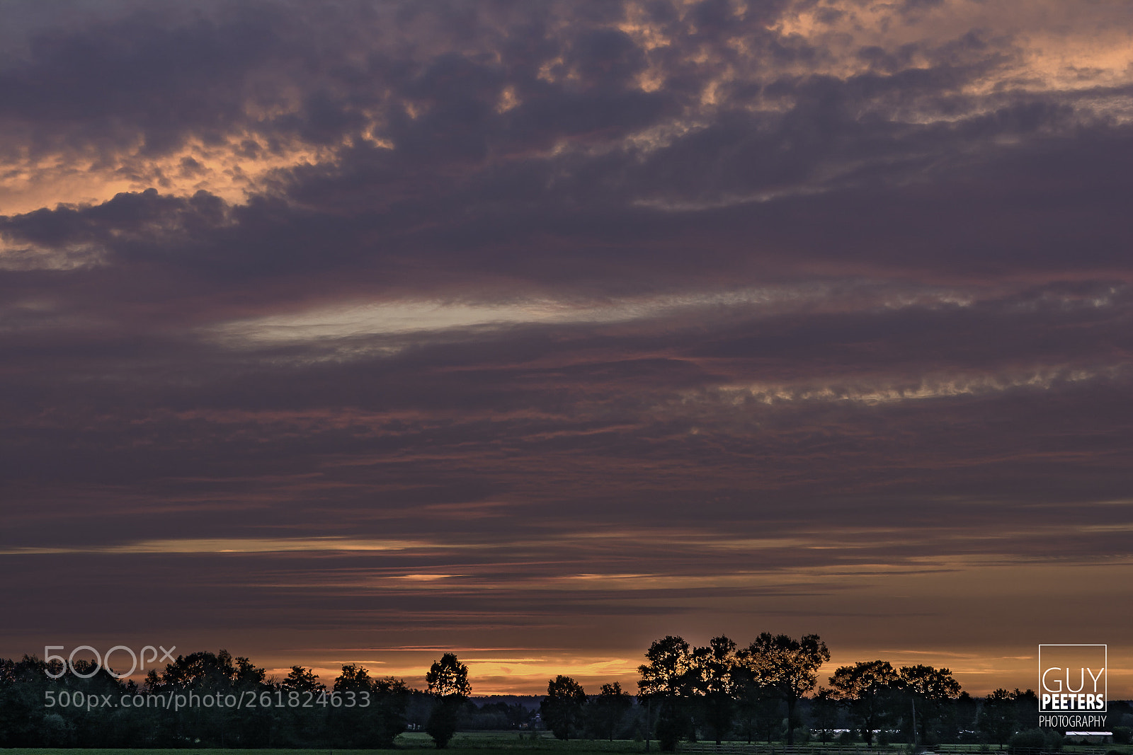 Nikon D7100 sample photo. Sunset - geel ten photography