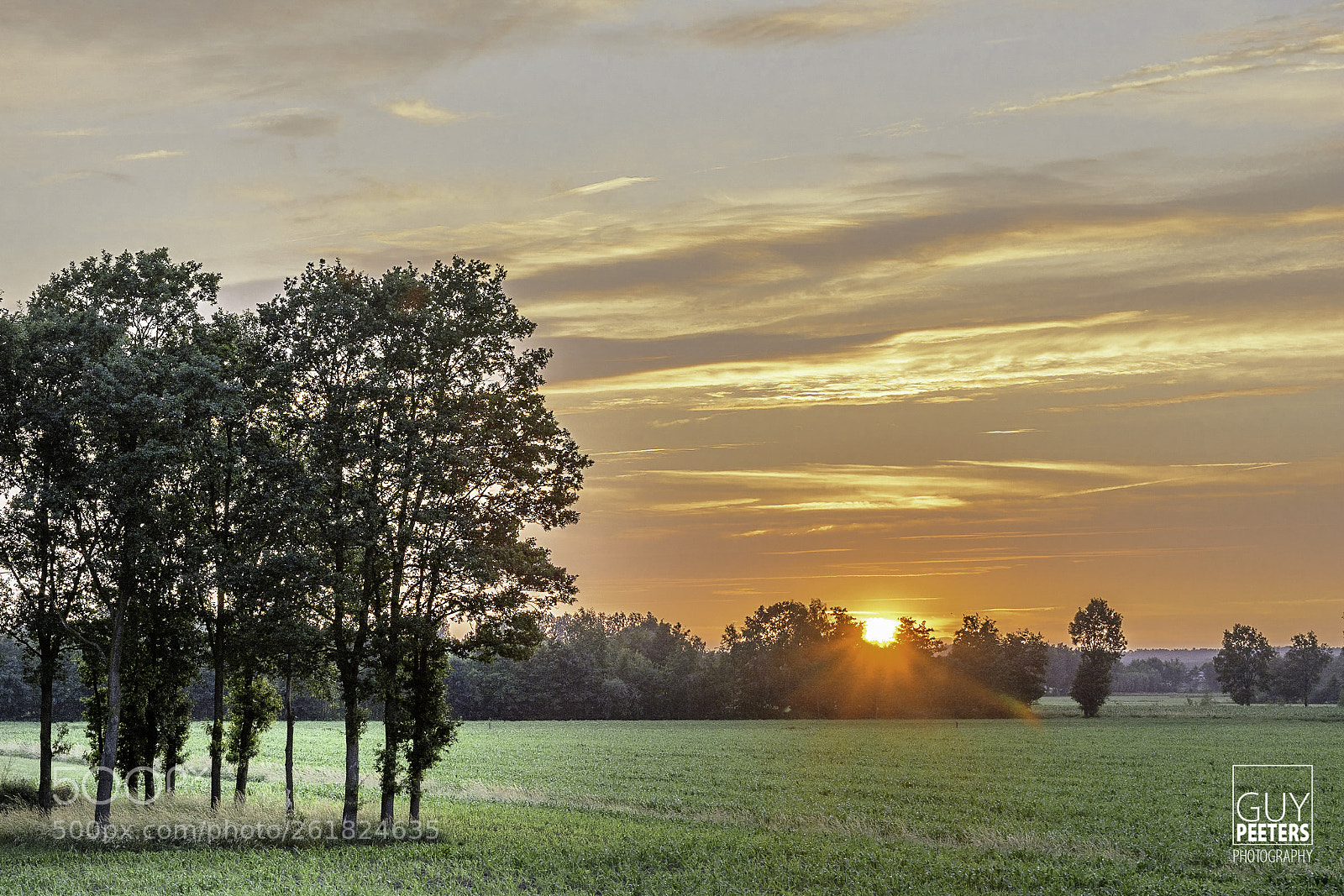 Nikon D7100 sample photo. Sunset - geel ten photography