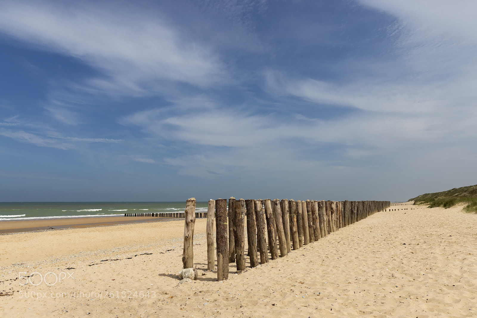Canon EOS 6D Mark II sample photo. Poles photography