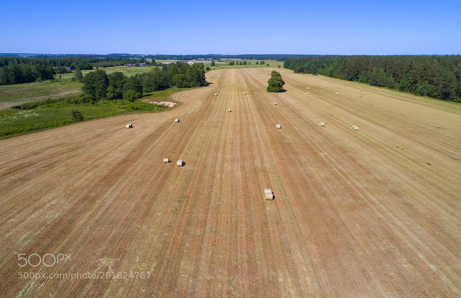 DJI FC6310 sample photo. поле БЕЛАРУСЬ photography