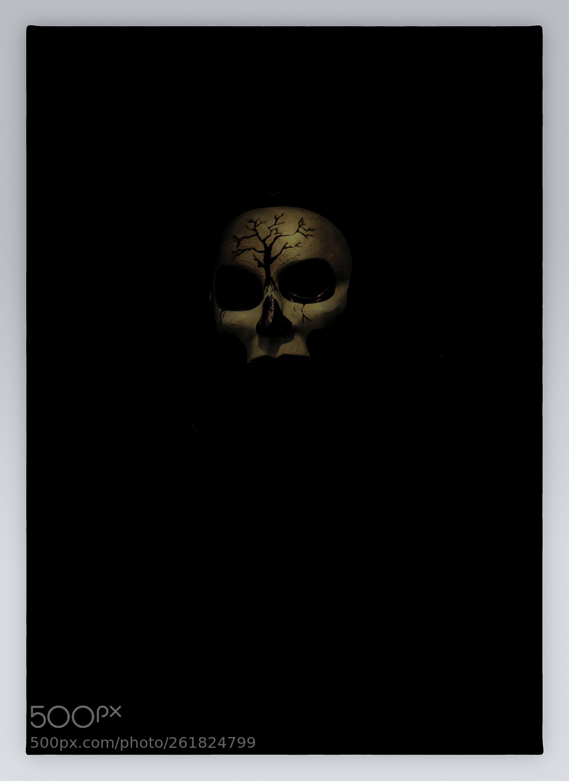 Nikon D700 sample photo. The mask photography