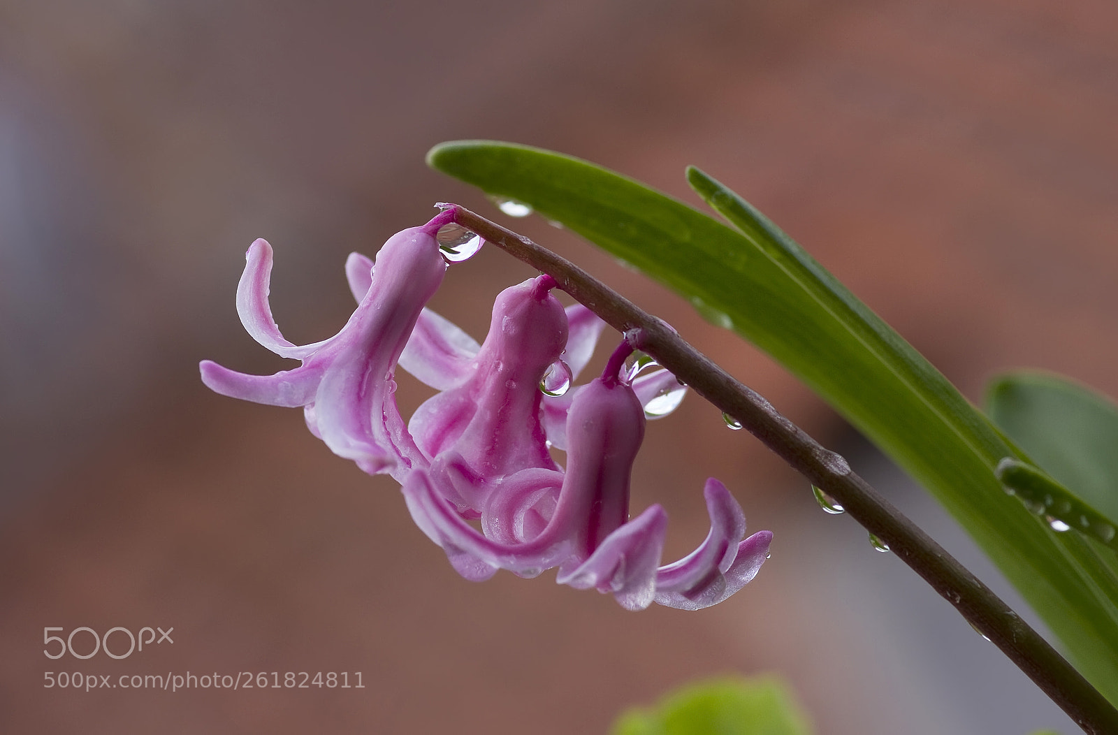 Canon EOS 7D sample photo. Giacinto photography