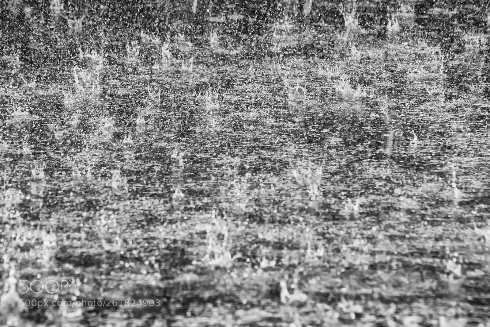 Nikon D7100 sample photo. Heavy rain photography