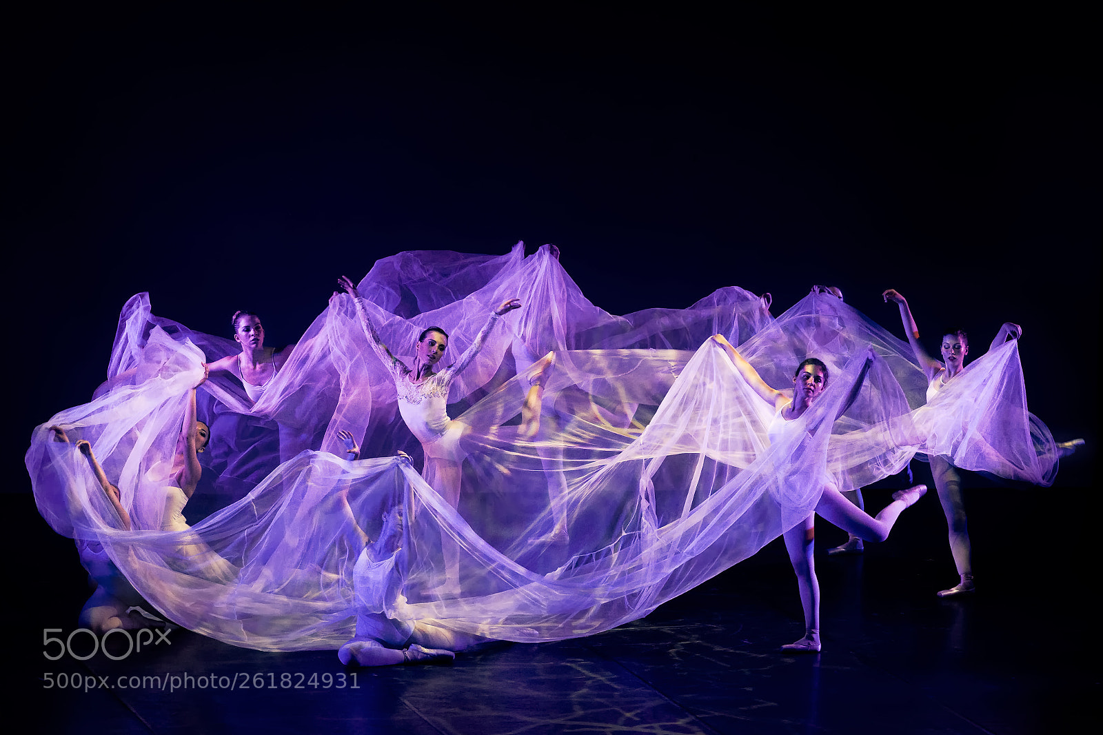 Canon EOS 5D Mark II sample photo. See-through folds photography