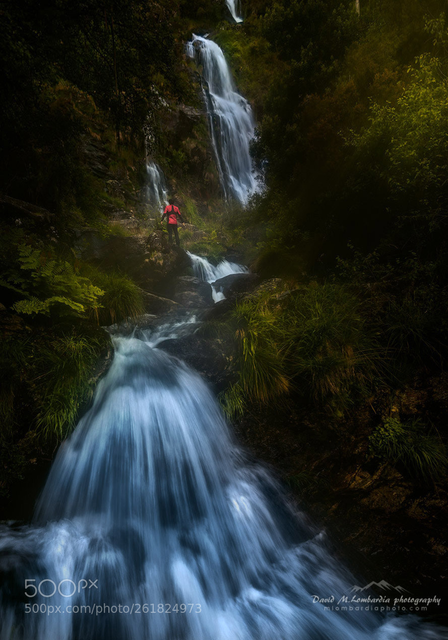 Sony a7R II sample photo. Jurassic galicia photography
