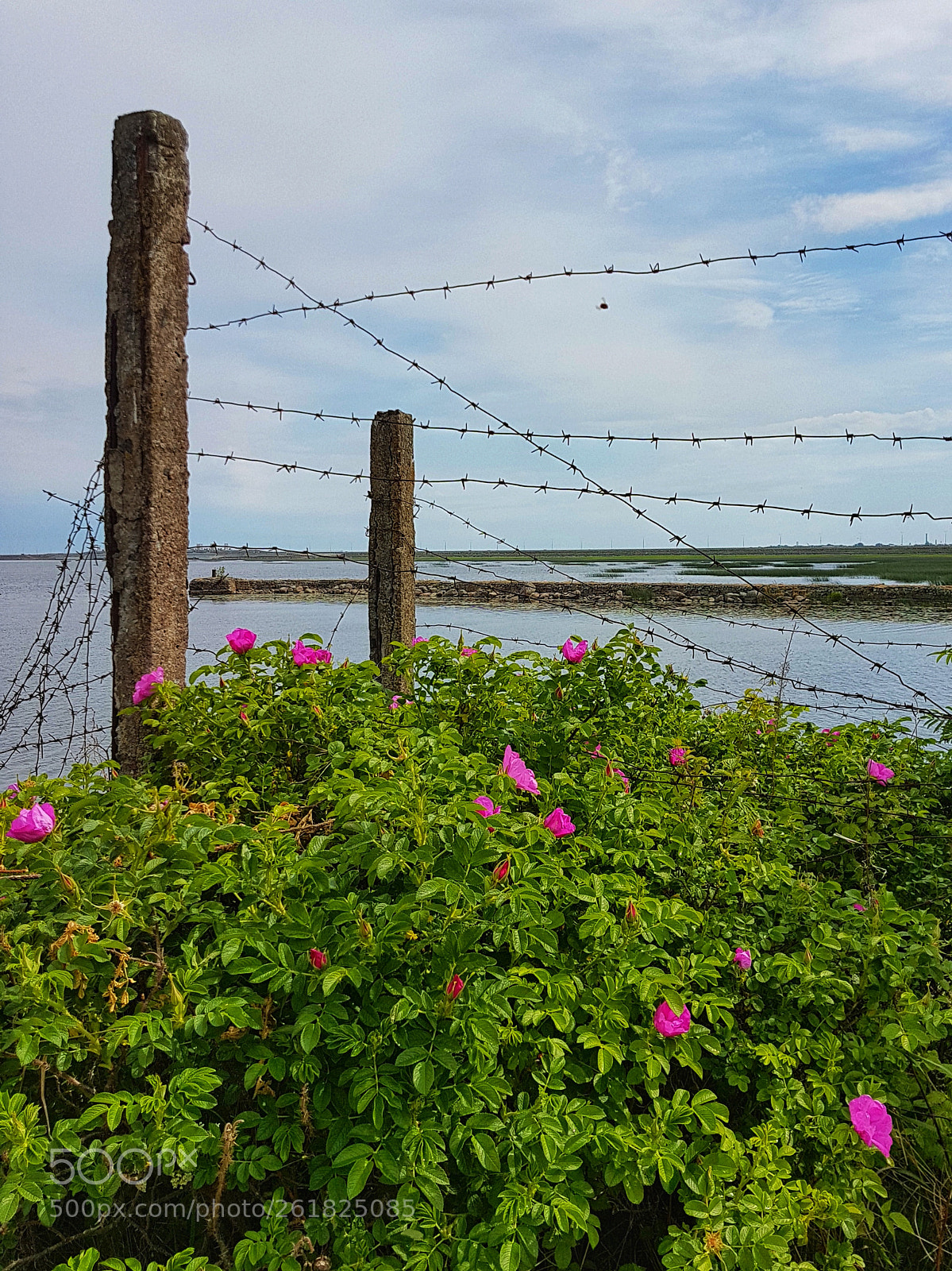 Samsung Galaxy S7 Edge sample photo. Peace and war photography