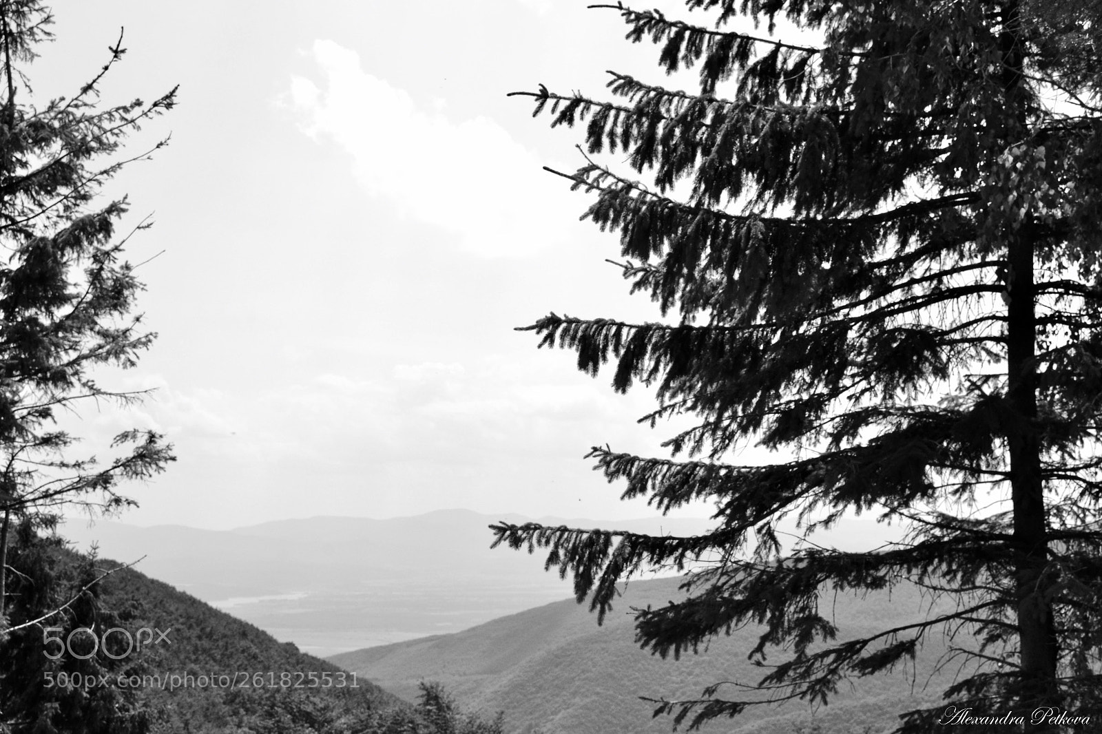 Nikon D3100 sample photo. Wide view photography
