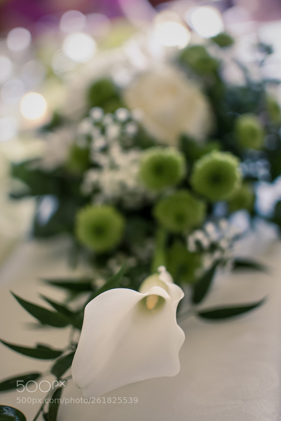 Nikon D80 sample photo. Wedding flower photography