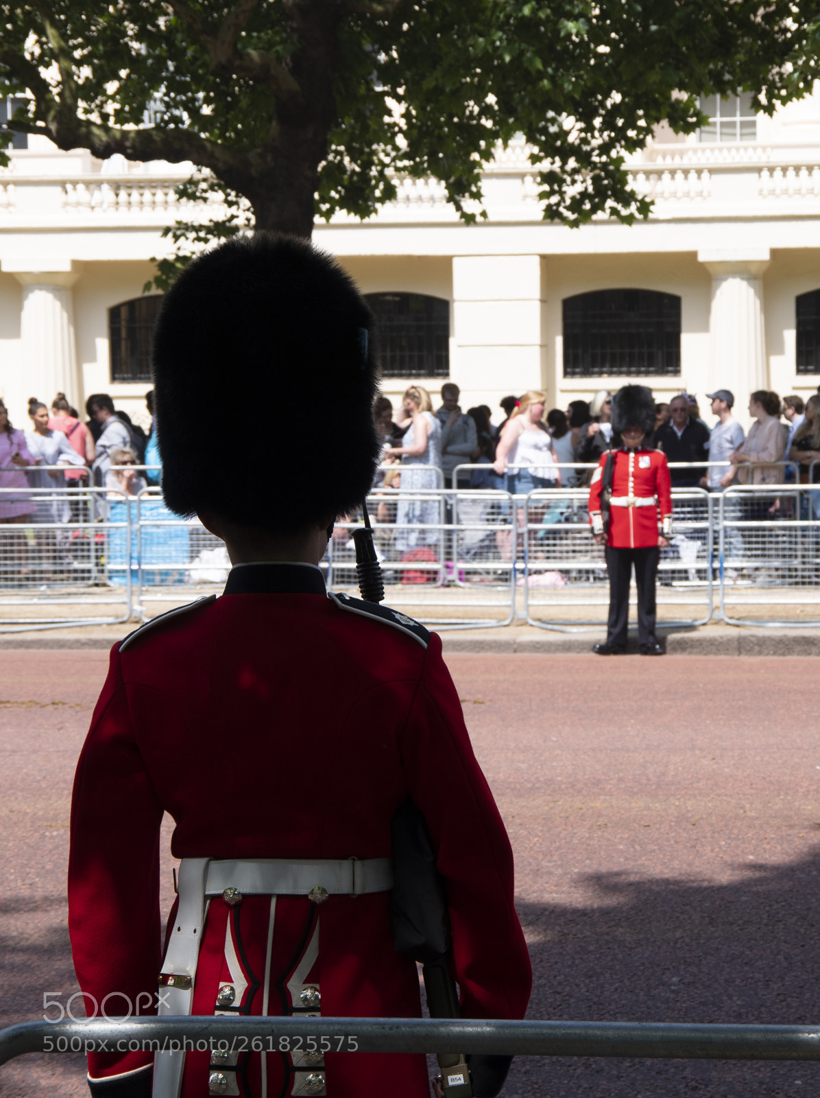 Pentax K-1 sample photo. Trooping the colour london 2018 photography