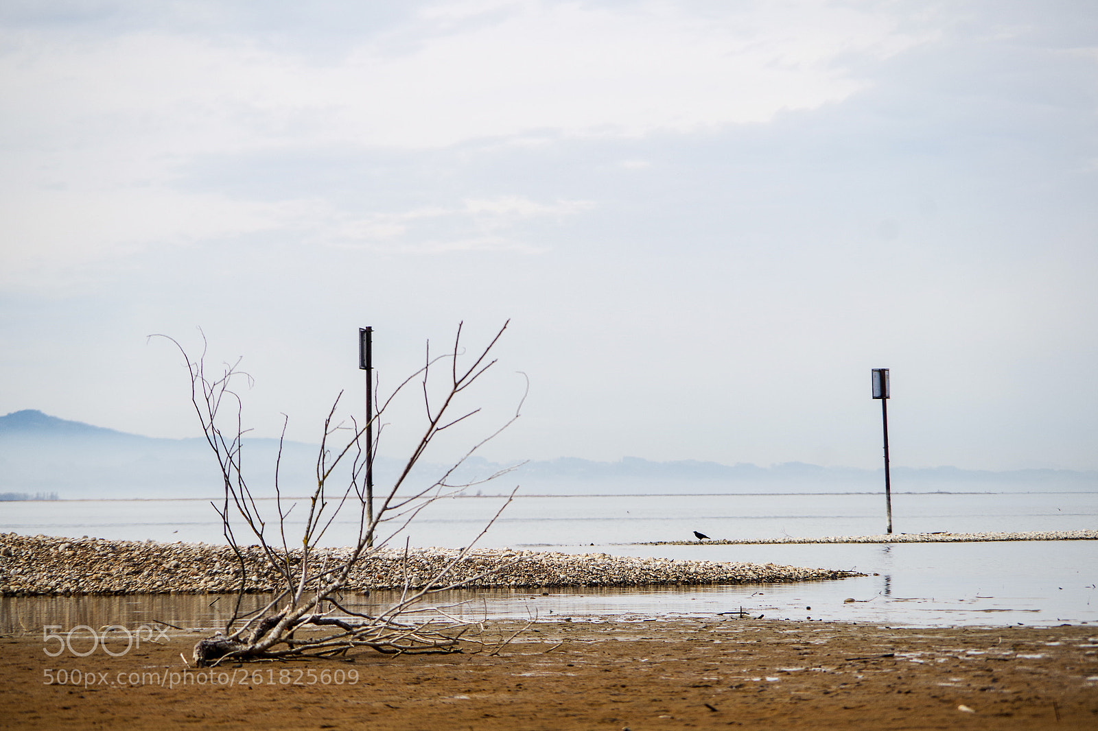 Pentax K-S2 sample photo. Summer at lake constance photography