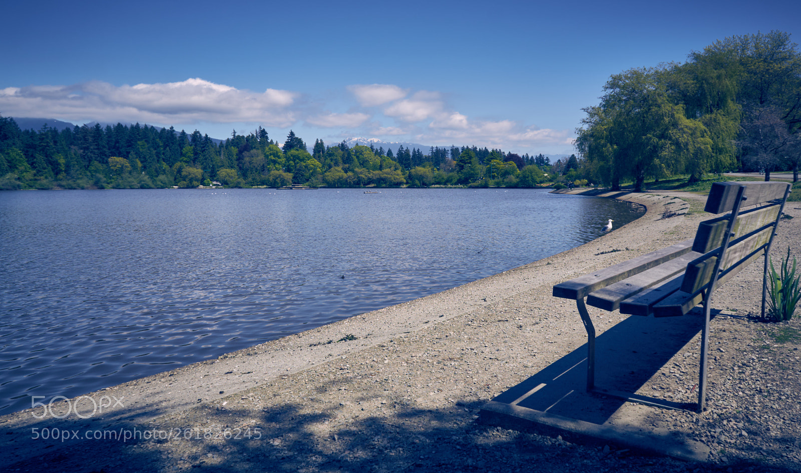 Sony a6000 sample photo. Stanley park photography