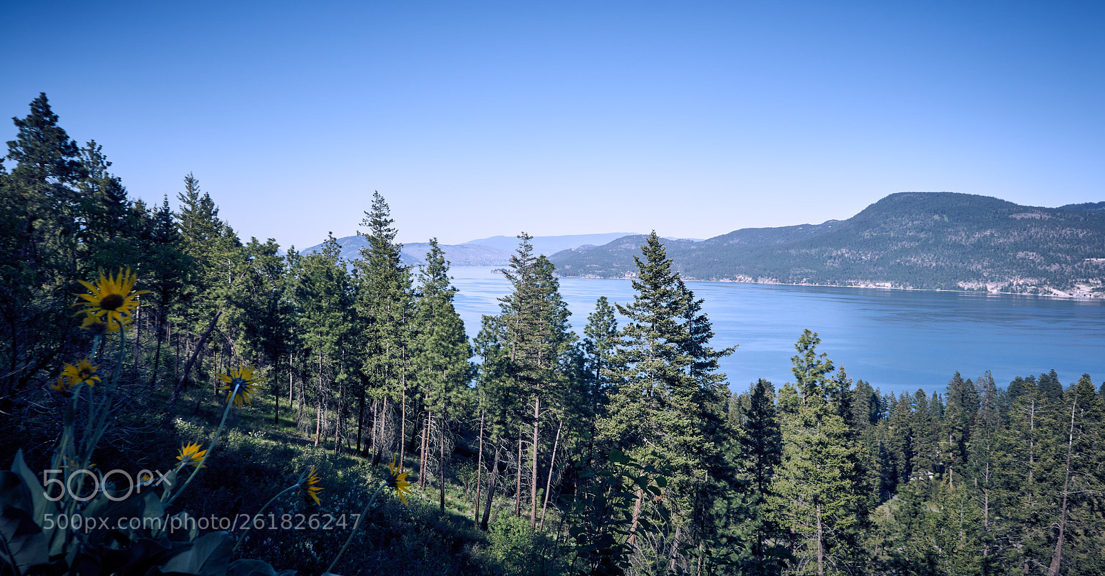 Sony a6000 sample photo. Okanagan lake photography