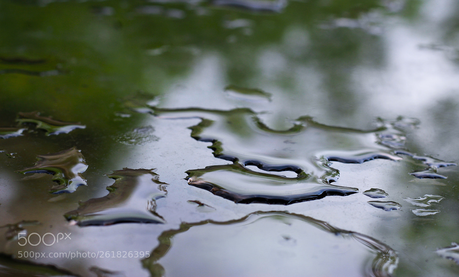 Canon EOS 1300D (EOS Rebel T6 / EOS Kiss X80) sample photo. Rain after the storm photography