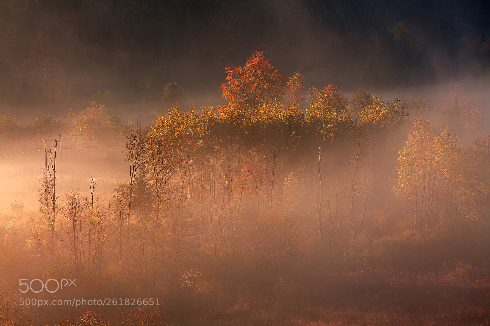 Canon EOS 5D Mark II sample photo. Pieniny day 1 photography