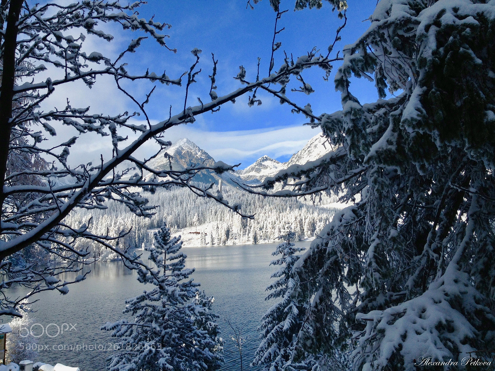Apple iPhone 4S sample photo. Trees and mountains photography