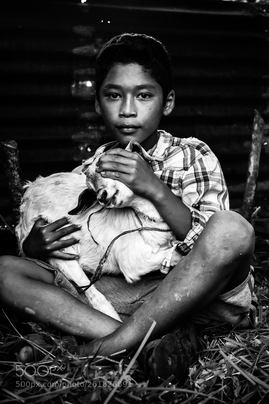Nikon D7200 sample photo. Boy and his sheep photography