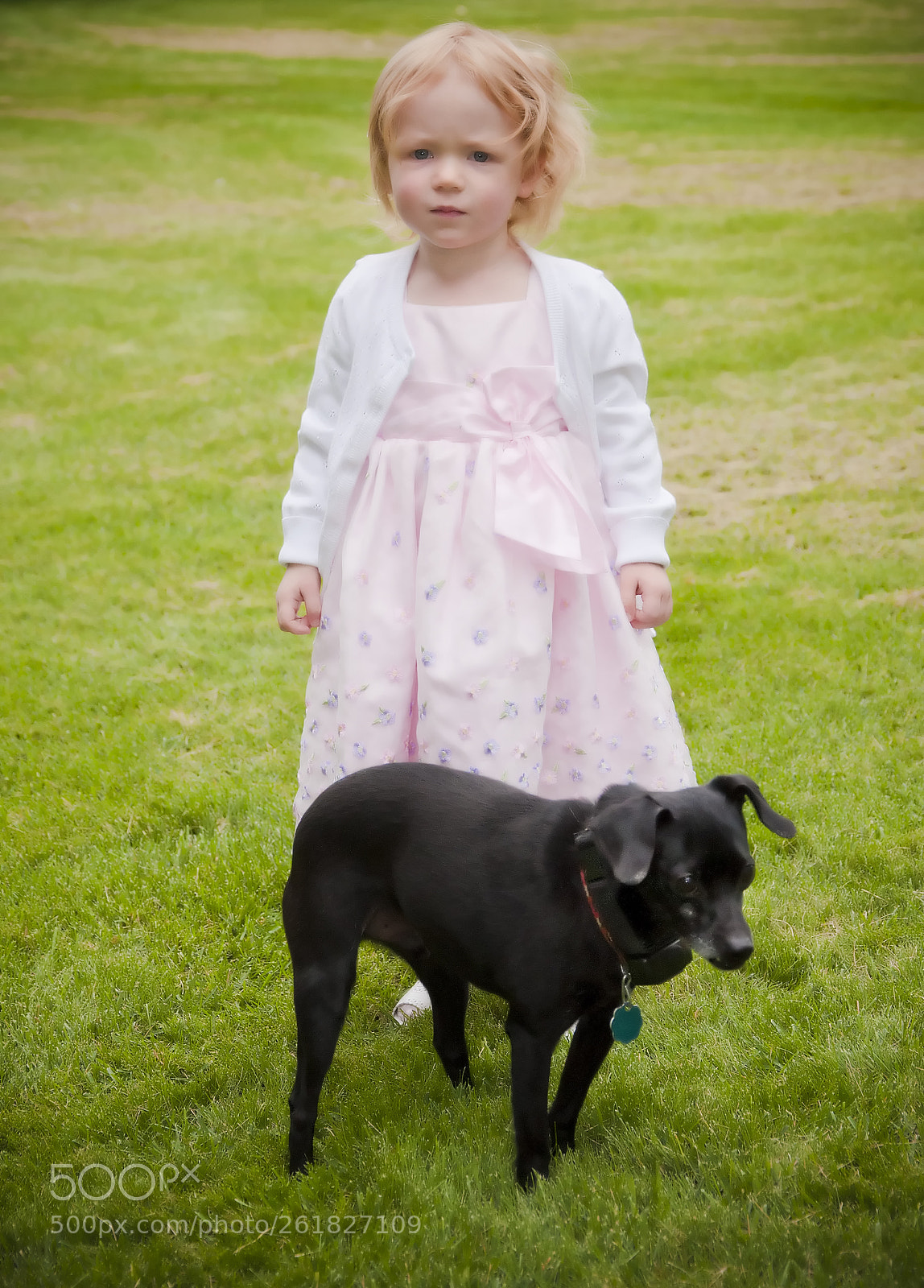 Nikon D90 sample photo. Sage and puppy. photography