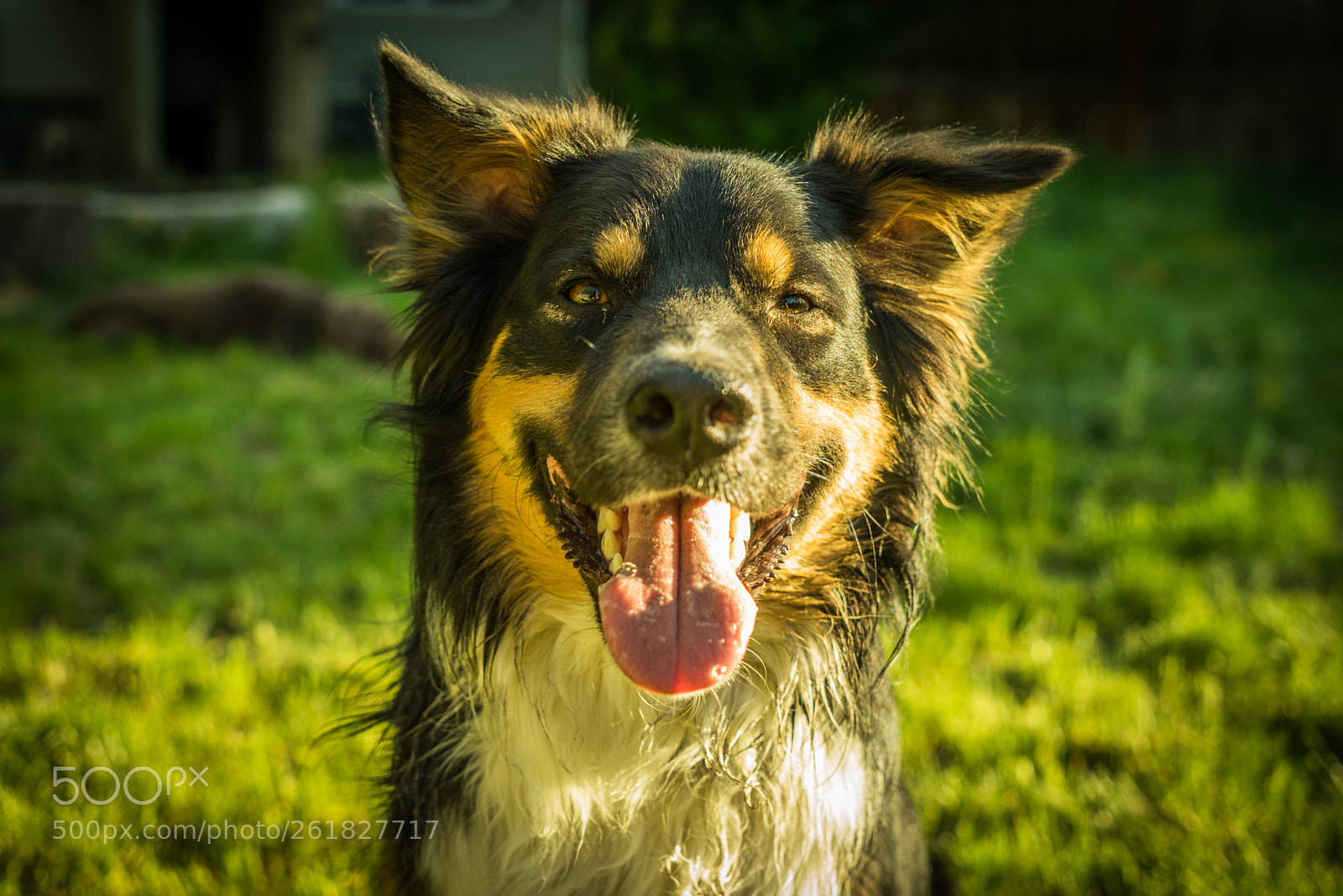 Sony a7R sample photo. [] photography
