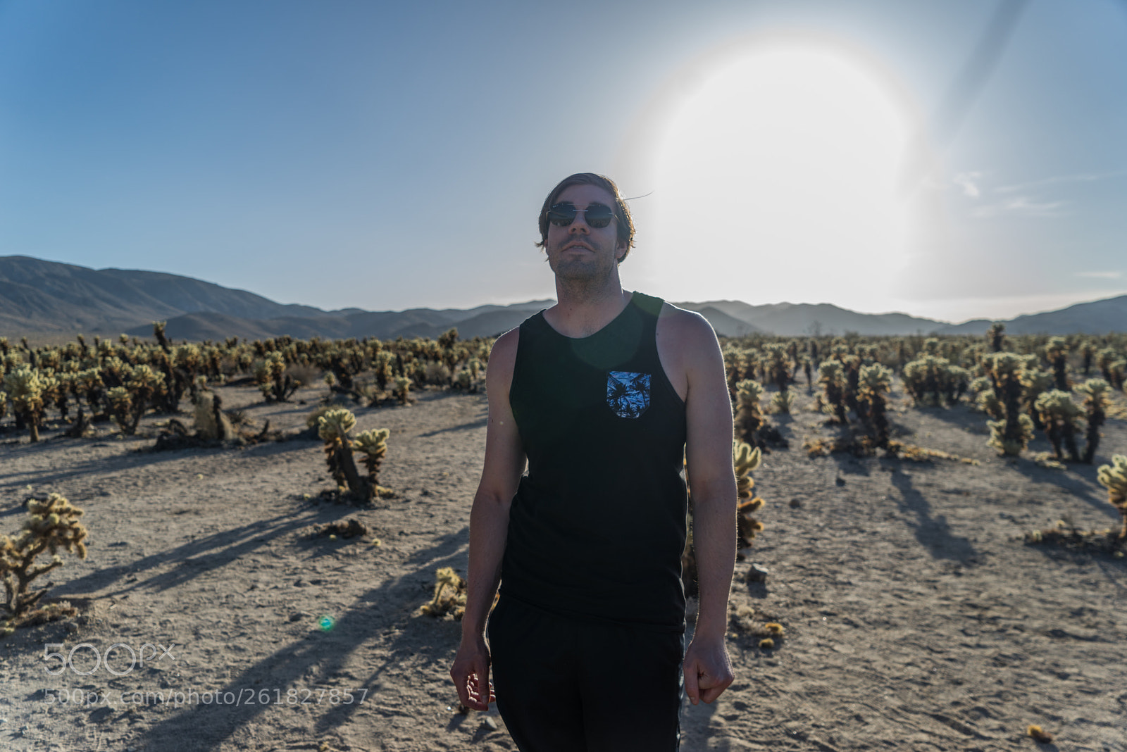 Sony a7R sample photo. Desert heat joshua tree photography