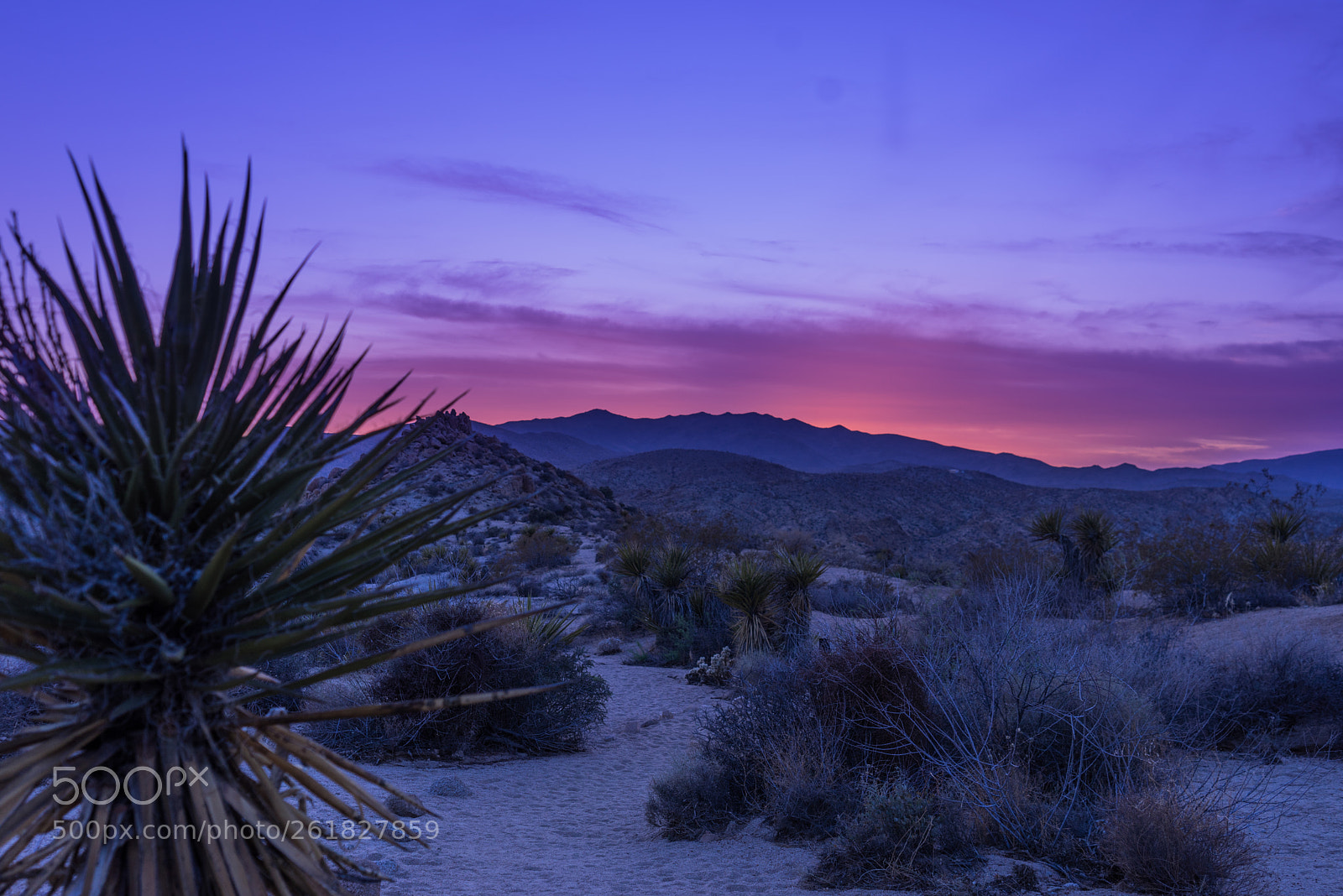 Sony a7R sample photo. [] photography