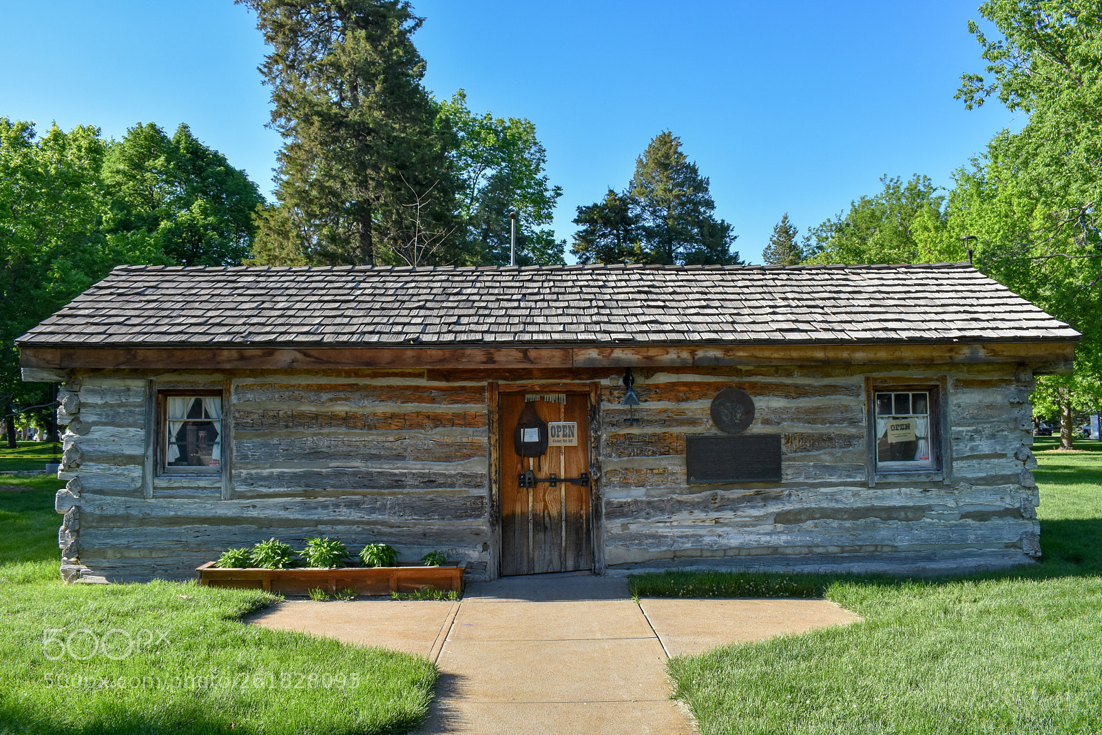Nikon D7200 sample photo. Pony express front view photography