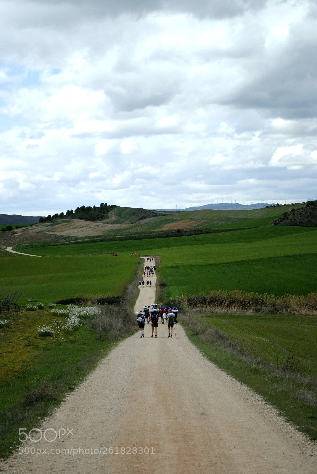 Nikon D3000 sample photo. A long way photography