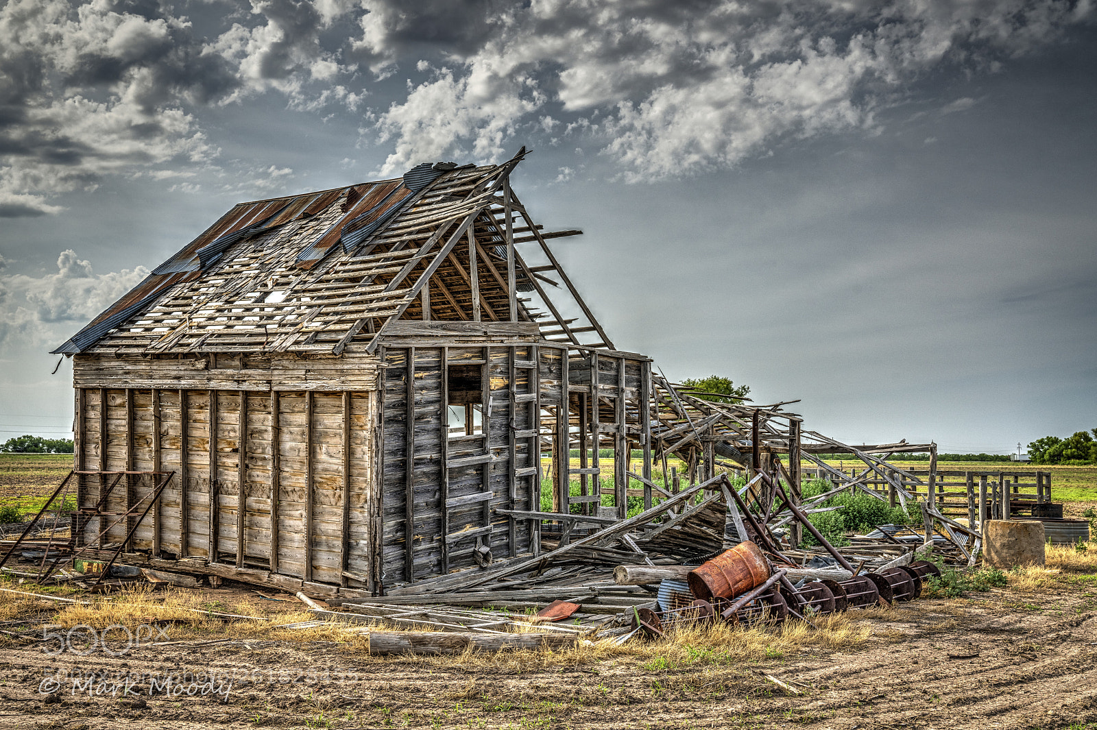 Sony a7R III sample photo. Bones photography