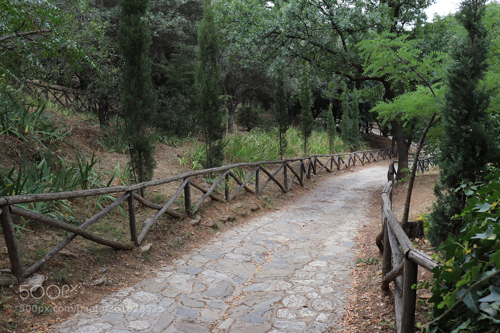 Canon EOS 200D (EOS Rebel SL2 / EOS Kiss X9) sample photo. Choose your path photography