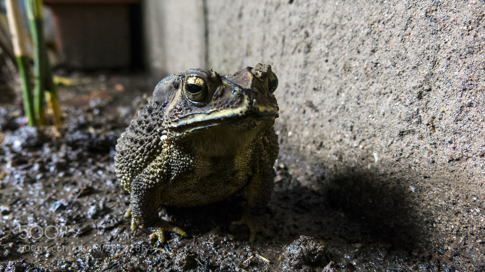Canon PowerShot G15 sample photo. Img photography