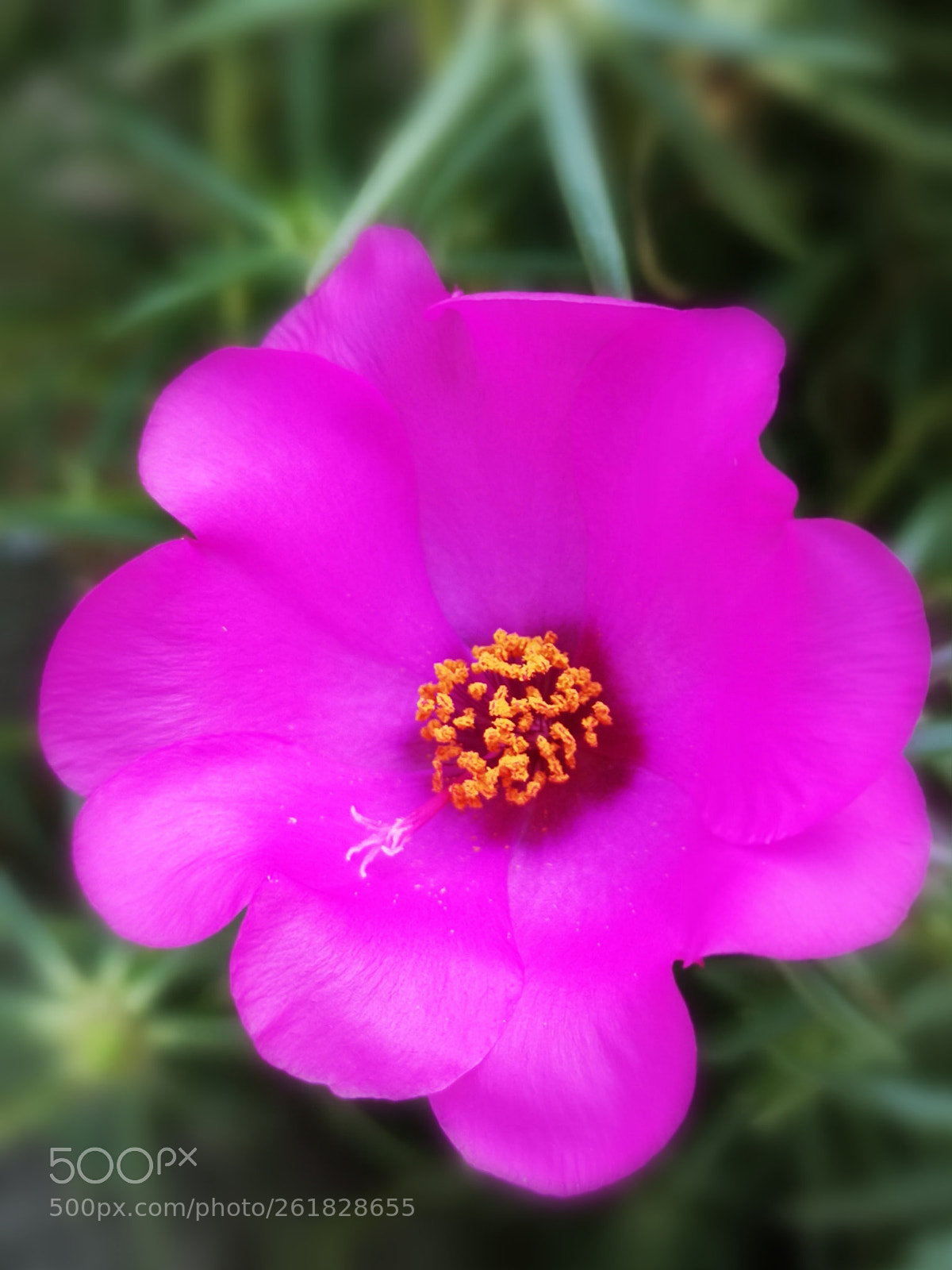 HUAWEI P20 sample photo. Untitled photography