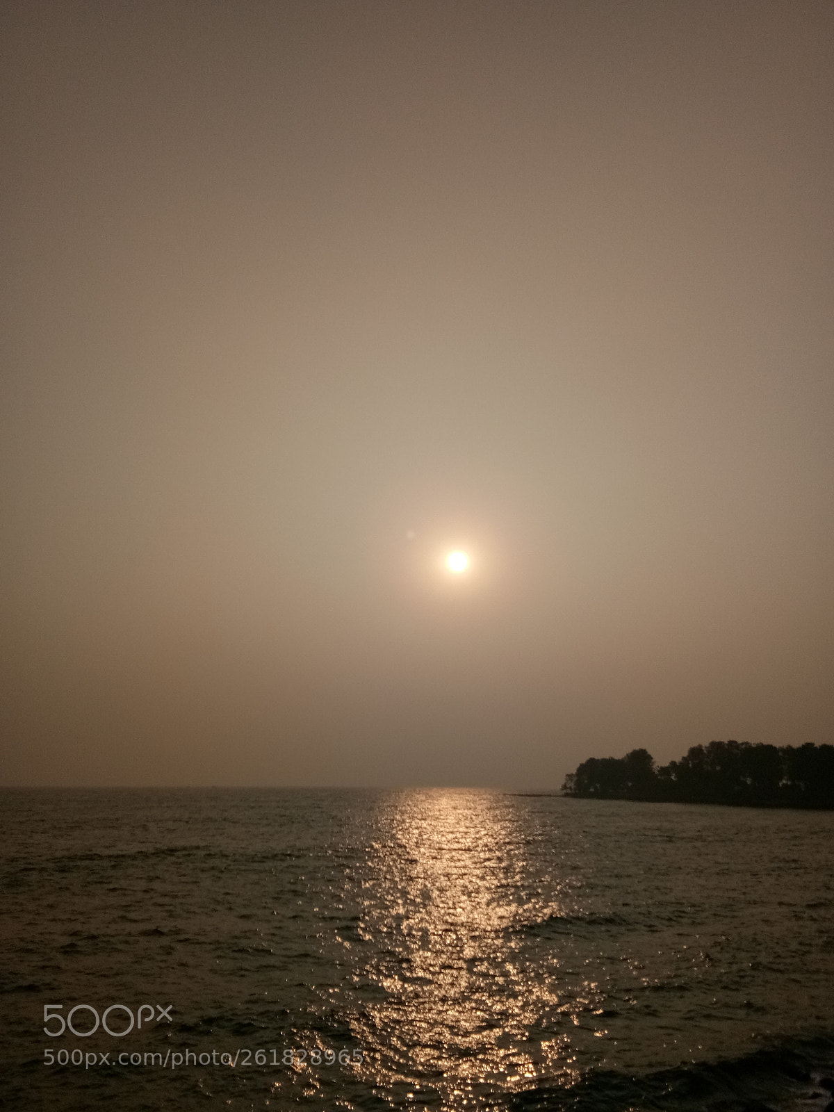 vivo 1601 sample photo. Evening bliss photography