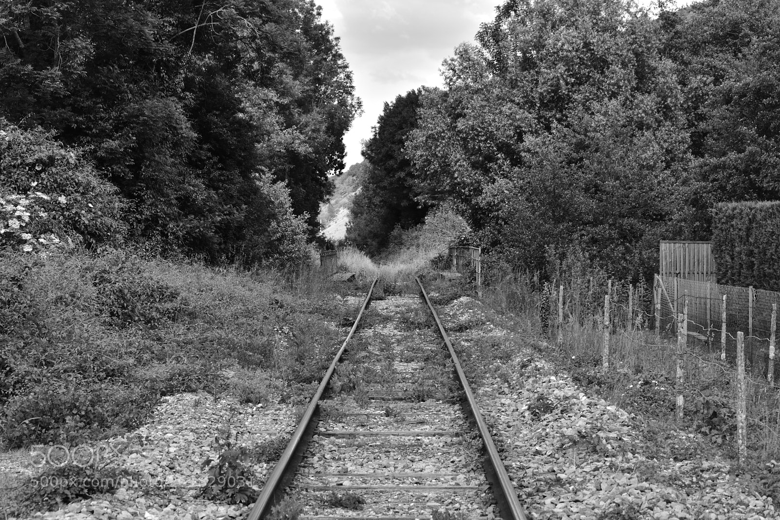 Nikon D3400 sample photo. Railway. photography