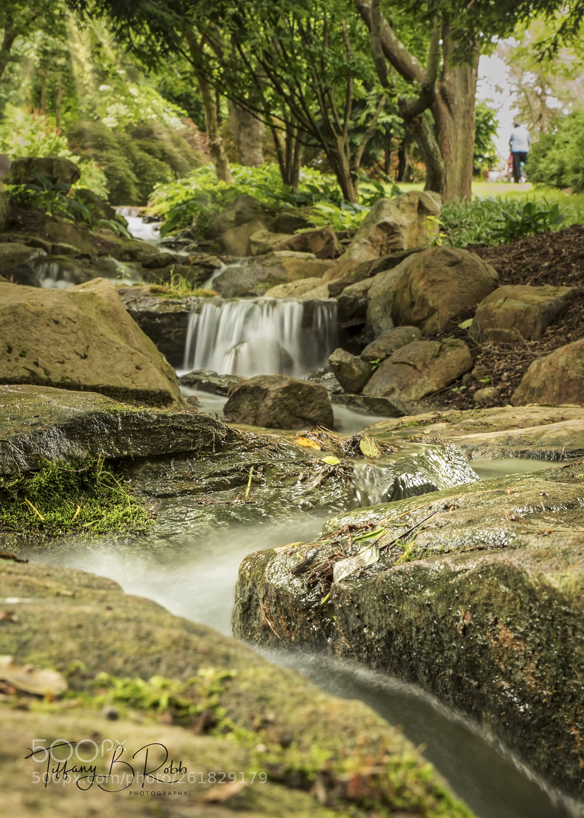 Nikon D750 sample photo. Untitled photography