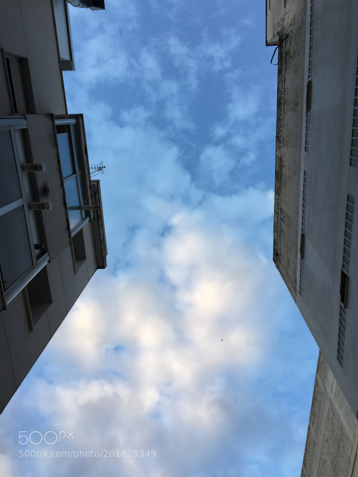 Apple iPhone 6 sample photo. Untitled photography